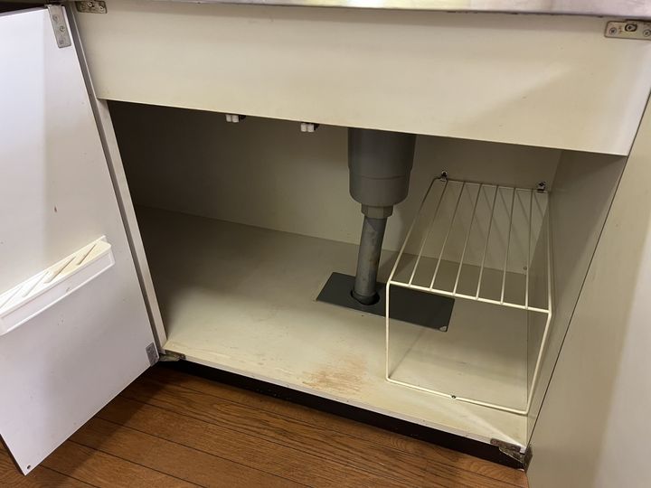 セントポーリアのその他画像