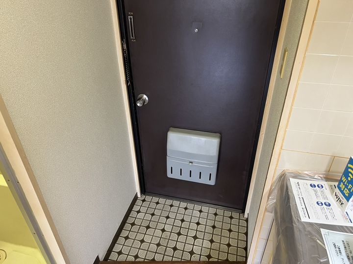 セントポーリアの玄関