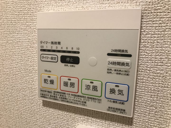 フィオレンティーナⅡのその他画像