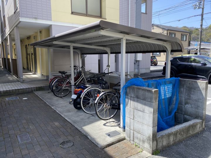 Pine Oneのその他画像