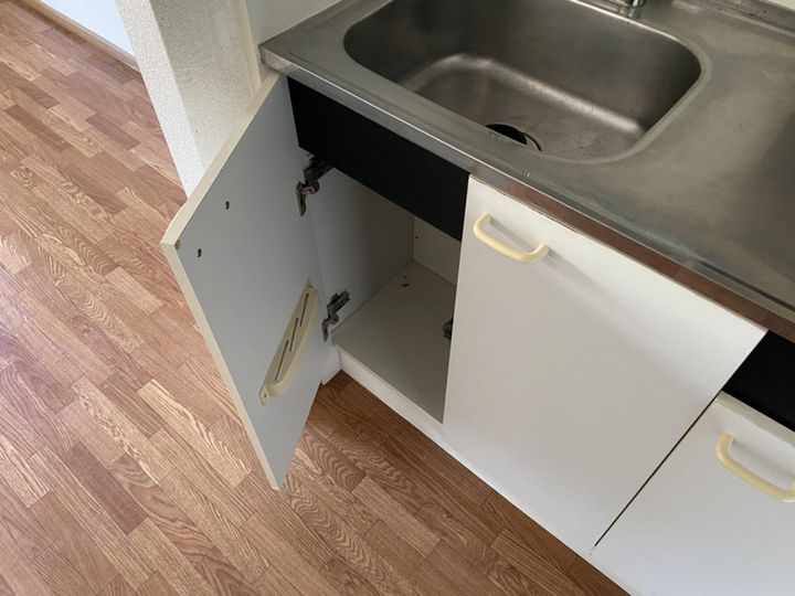 Pine Oneのその他画像