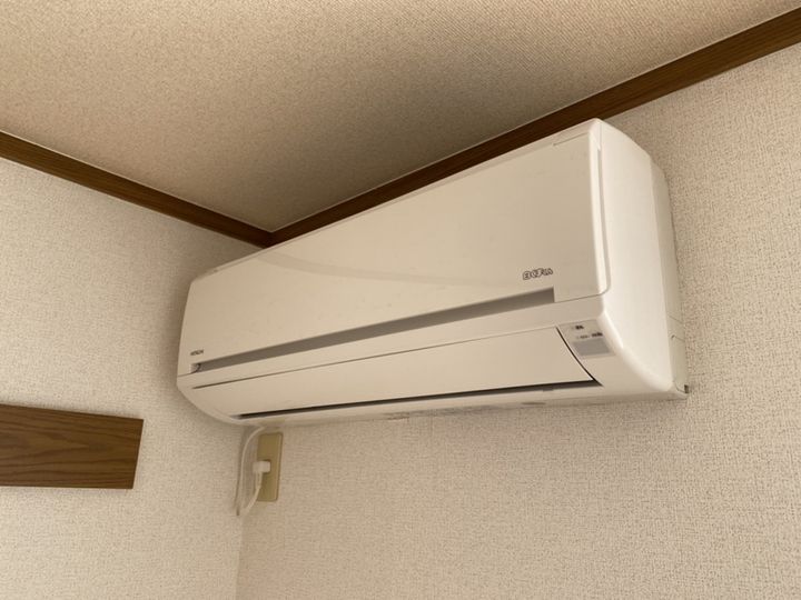 フォレストのその他画像