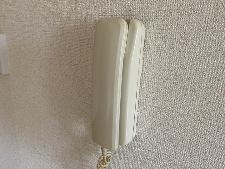 フォレストのその他画像