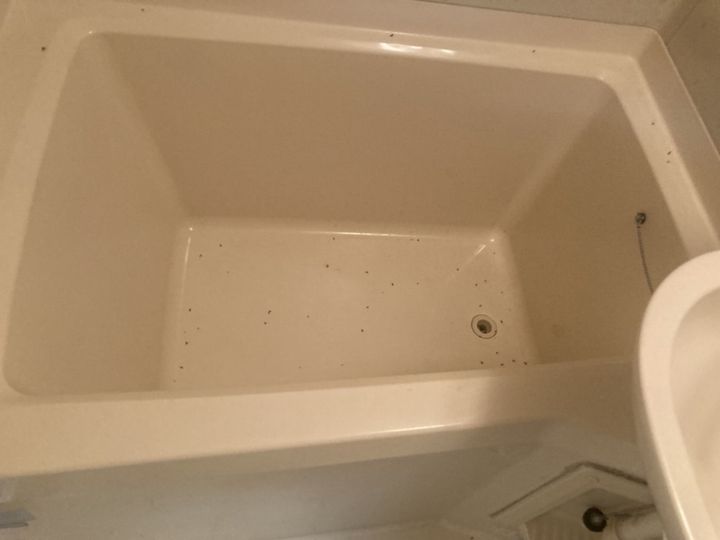 相生市 ウイング相生旭の風呂