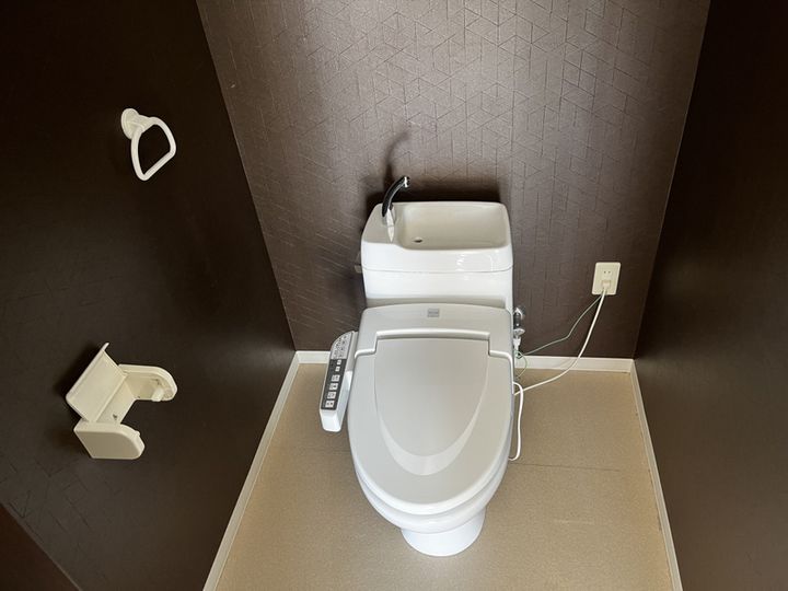 FELICE手柄の内装