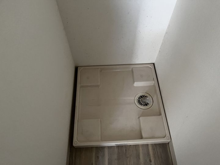 FELICE手柄のその他画像