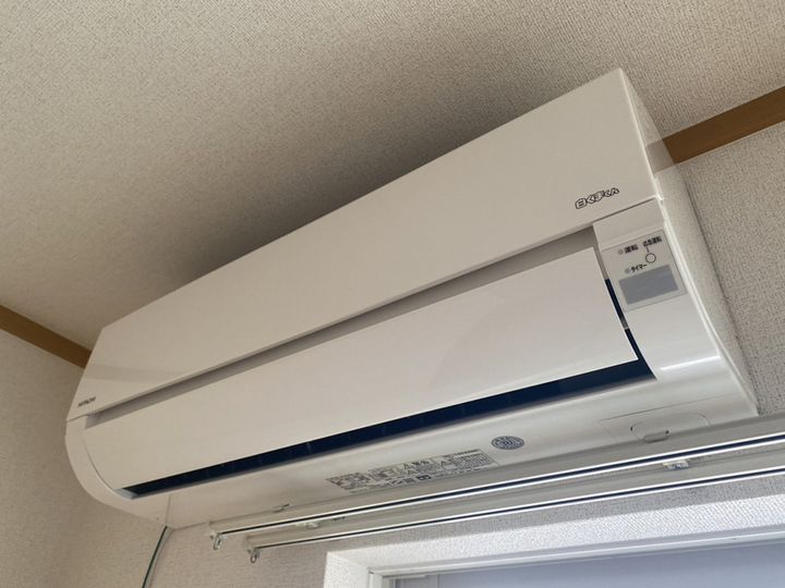 プリムローズのその他画像