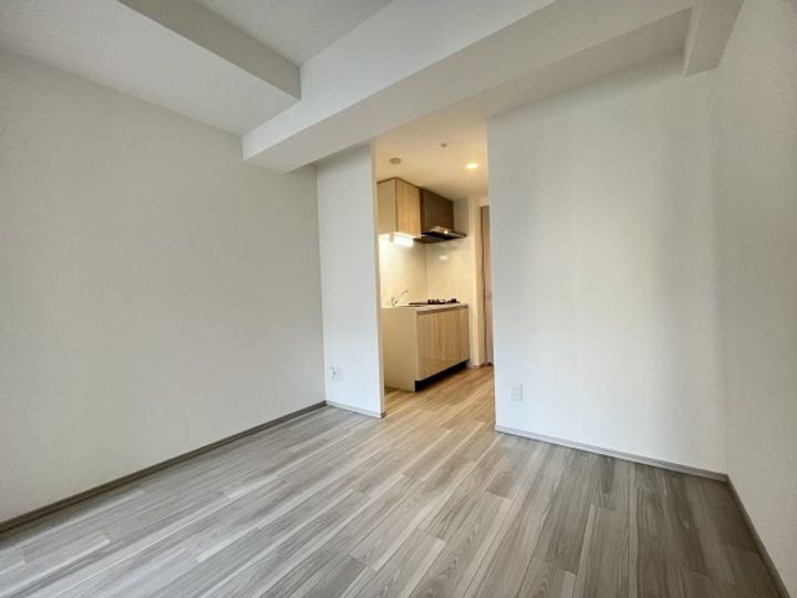 アドバンス三宮パルマの内装