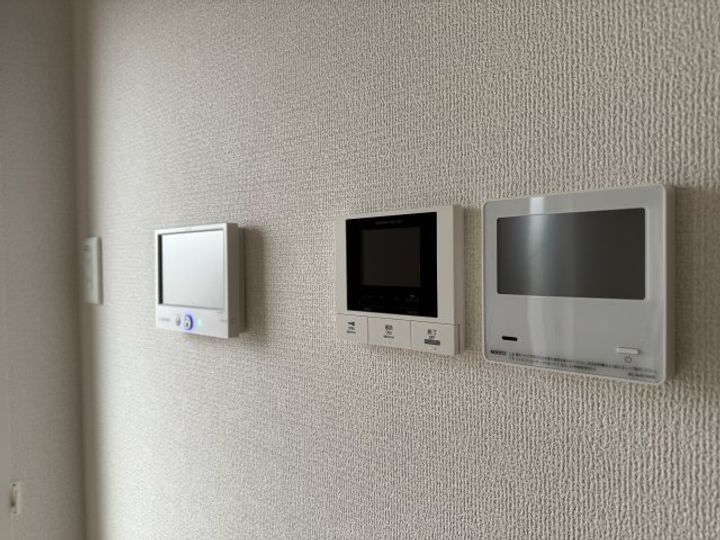 Sansevieria夏原のその他画像