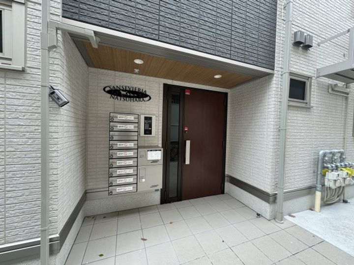 Sansevieria夏原のその他画像