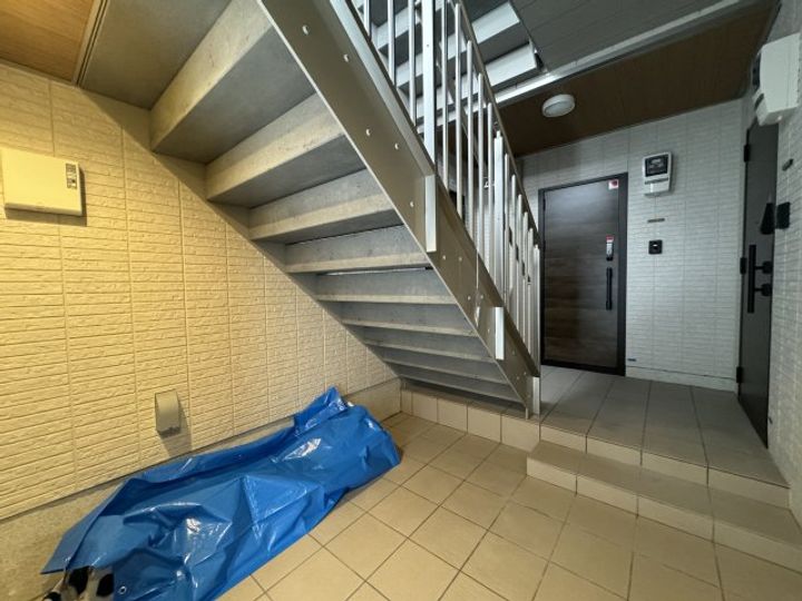 Sansevieria夏原のその他画像