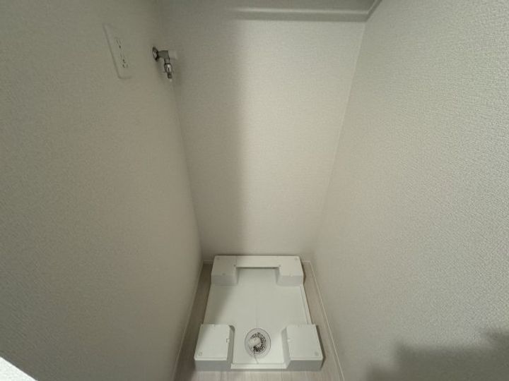 Sansevieria夏原のその他画像