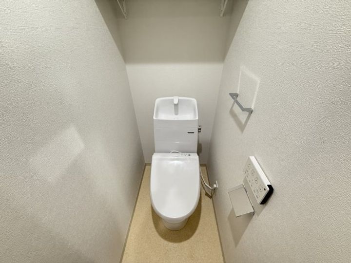 F asecia caninaのその他画像