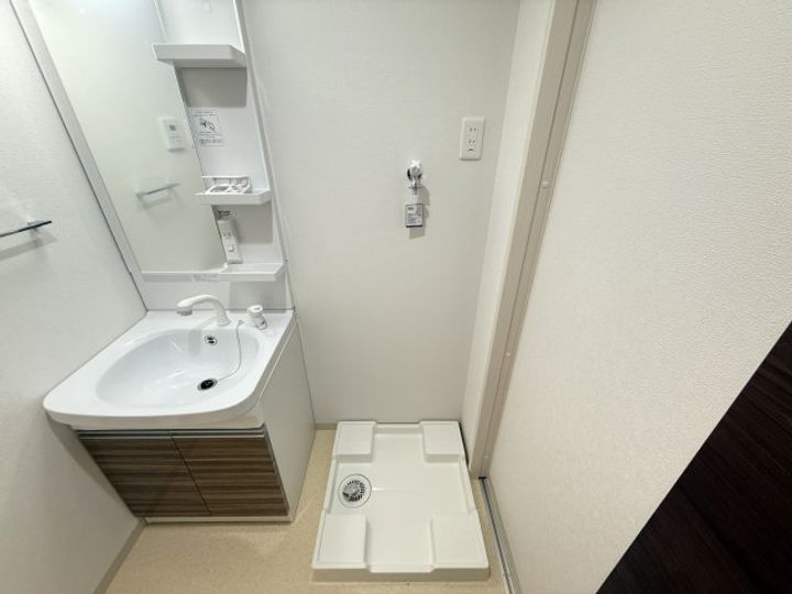 F asecia caninaのその他画像