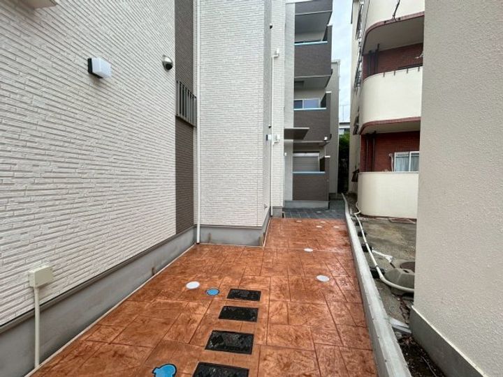 F asecia caninaのその他画像