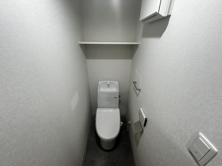 F Rubra SEAMのその他画像