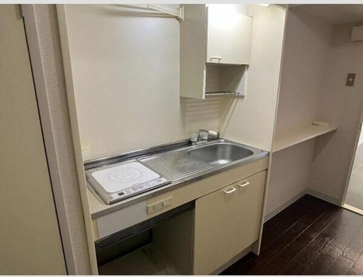 愛知県名古屋市天白区八事天道(マンション)の賃貸物件316のキッチン