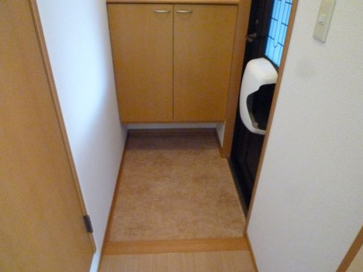 大阪府泉大津市板原町1丁目(アパート)の賃貸物件の玄関