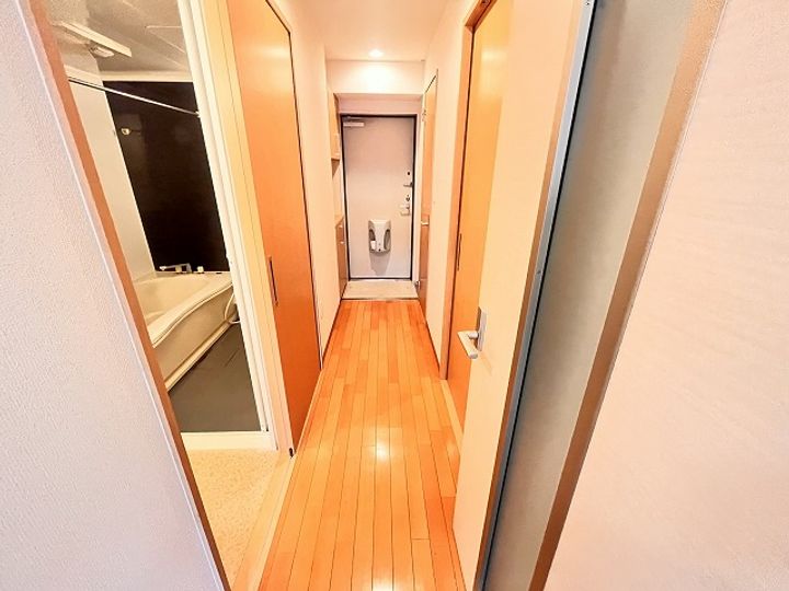 大阪府泉大津市田中町(マンション)の賃貸物件の玄関