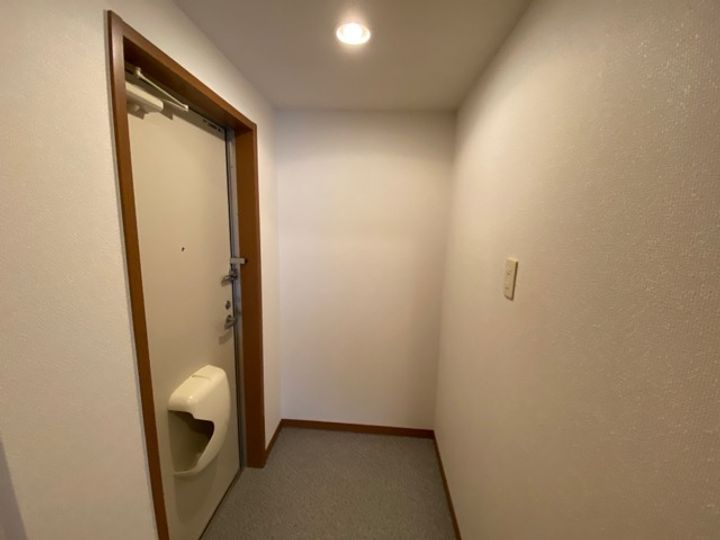 大阪府泉大津市式内町(アパート)の賃貸物件の玄関