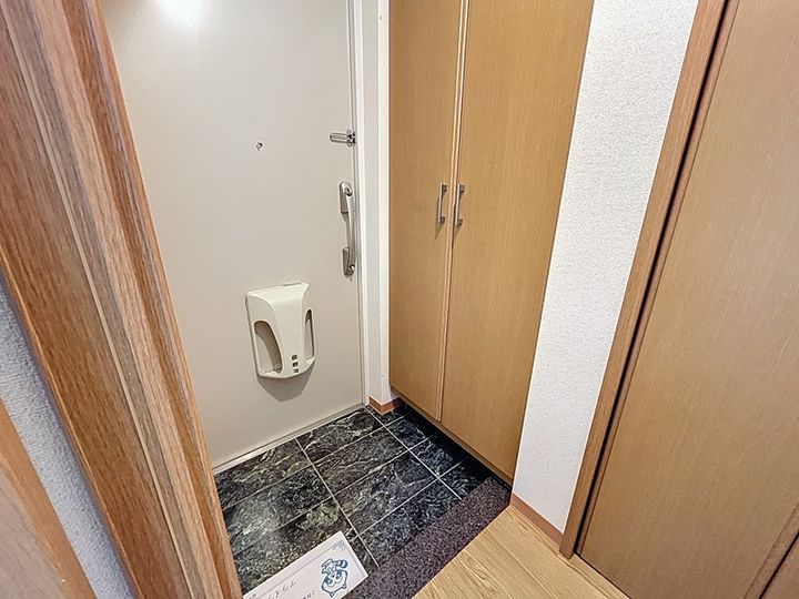 アルベルゴ三松館303の玄関