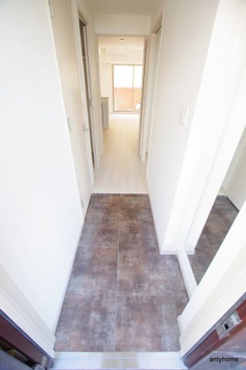 大阪府大阪市淀川区西中島3丁目(マンション)の賃貸物件の玄関