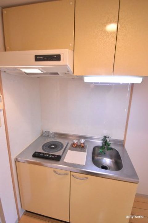 大阪府吹田市江坂町5丁目(マンション)の賃貸物件のキッチン