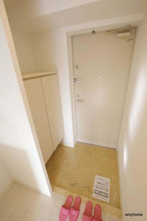 大阪府吹田市垂水町3丁目(マンション)の賃貸物件の玄関