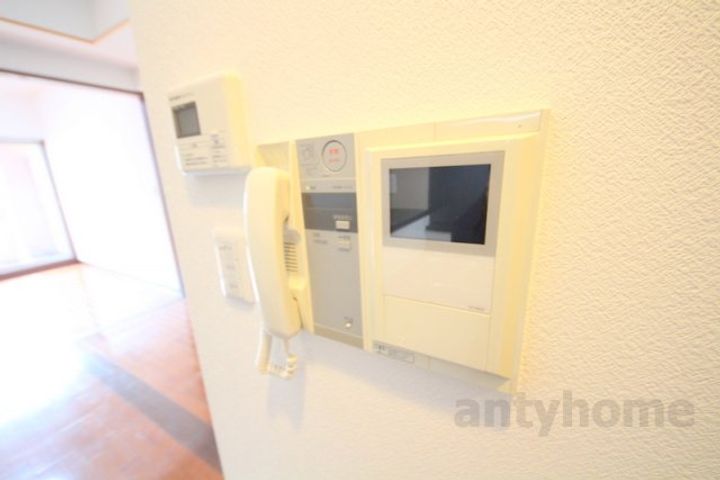 コンソラーレ同心のその他画像