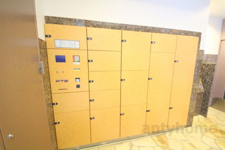 コンソラーレ同心のその他画像