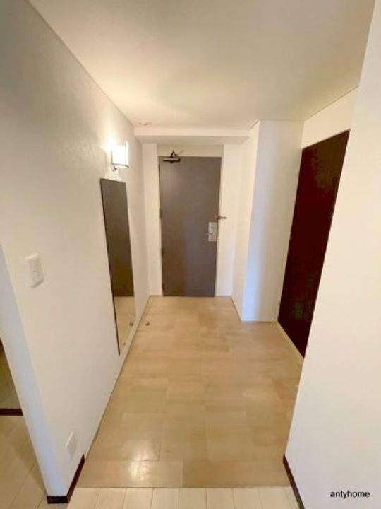 大阪府大阪市淀川区十三東1丁目(マンション)の賃貸物件の玄関