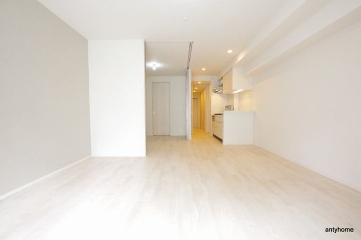 大阪府大阪市中央区瓦屋町1丁目(マンション)の賃貸物件の居間