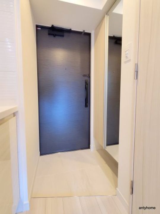 大阪府大阪市中央区松屋町住吉(マンション)の賃貸物件の玄関
