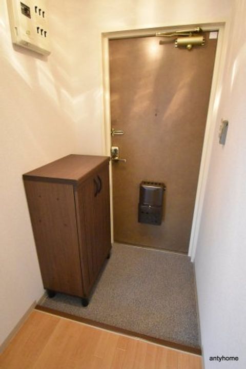 大阪府大阪市東淀川区柴島2丁目(マンション)の賃貸物件の玄関