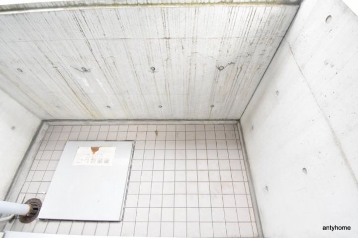 サラダボウルのその他画像