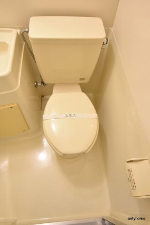 サラダボウルのその他画像