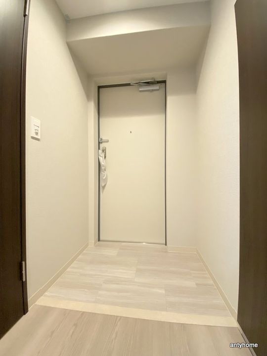 大阪府大阪市東成区中道2丁目(マンション)の賃貸物件の玄関