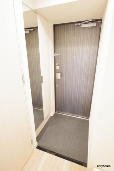 プレサンス松屋町ヴェルデスの玄関