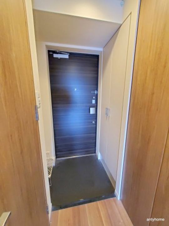 大阪府大阪市西淀川区柏里2丁目(マンション)の賃貸物件の玄関