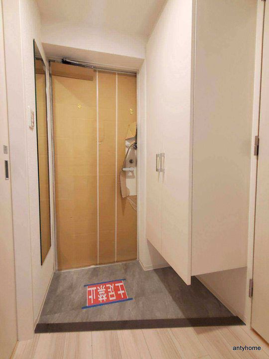 大阪府吹田市江坂町2丁目(マンション)の賃貸物件の玄関