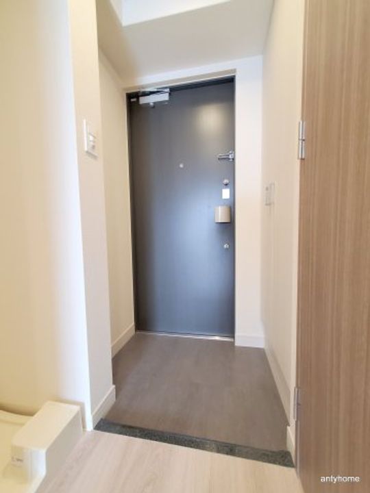 大阪府大阪市淀川区木川西4丁目(マンション)の賃貸物件の玄関