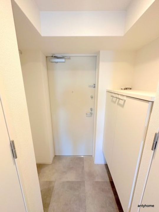 セレニテ本町東リアンの玄関