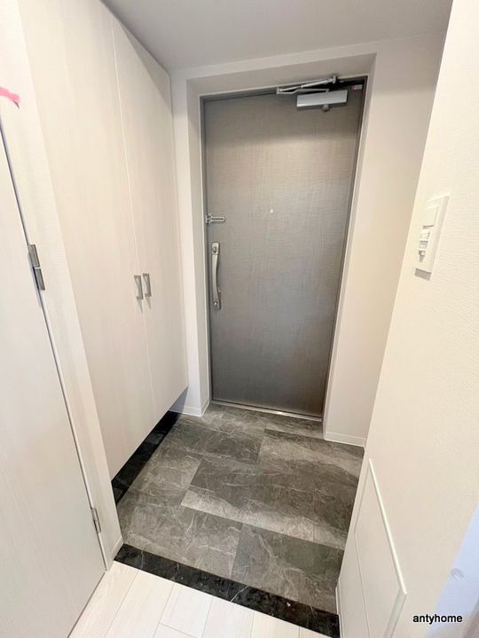 大阪府大阪市福島区鷺洲3丁目(マンション)の賃貸物件の玄関