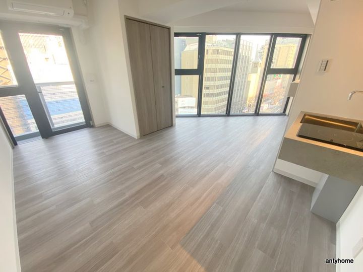 大阪府大阪市北区神山町(マンション)の賃貸物件の居間