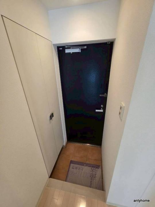 大阪府大阪市浪速区日本橋5丁目(マンション)の賃貸物件の玄関