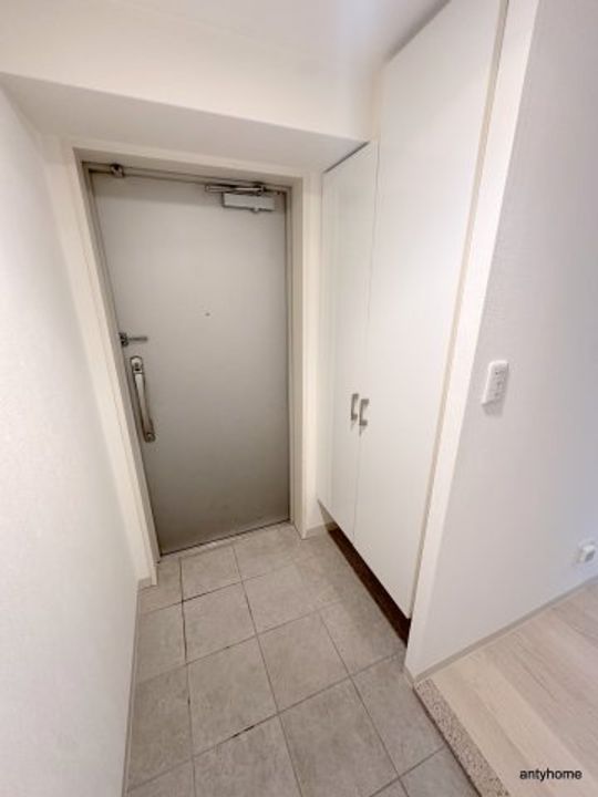 大阪府大阪市西区新町3丁目(マンション)の賃貸物件の玄関