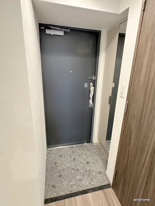 大阪府大阪市大正区三軒家東2丁目(マンション)の賃貸物件の玄関
