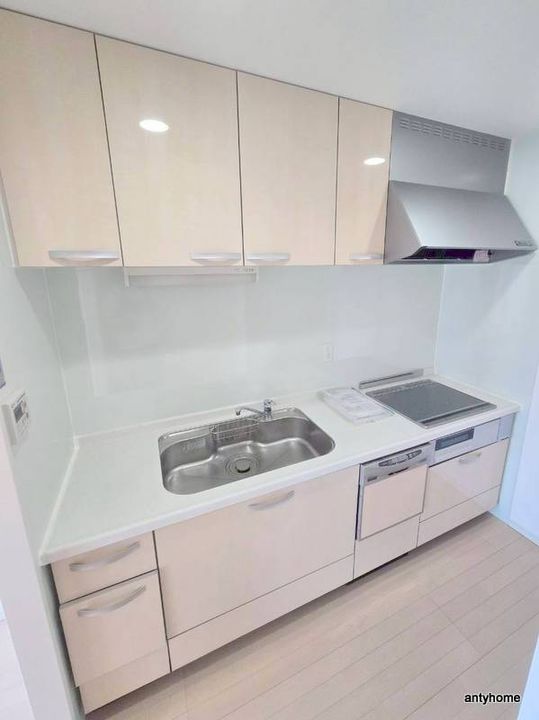 大阪府大阪市西区南堀江2丁目(マンション)の賃貸物件のキッチン