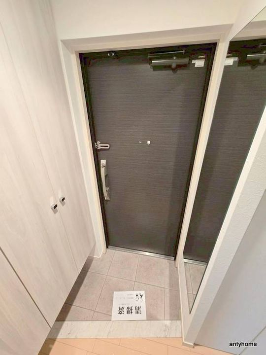 大阪府大阪市西区西本町2丁目(マンション)の賃貸物件の玄関