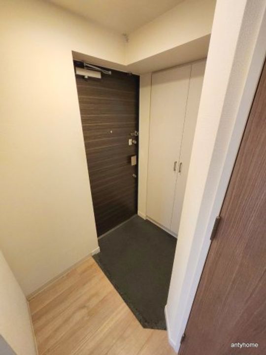 大阪府大阪市中央区南本町1丁目(マンション)の賃貸物件の玄関